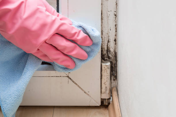 Water Damage Restoration in Galesville, WI